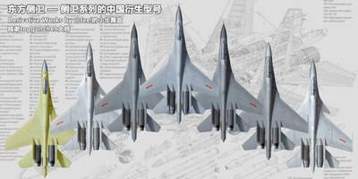 中国国产的侧卫家族。（来源：网络）