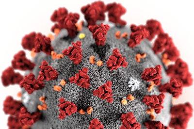 图为新型冠状病毒资料图。（Shutterstock）