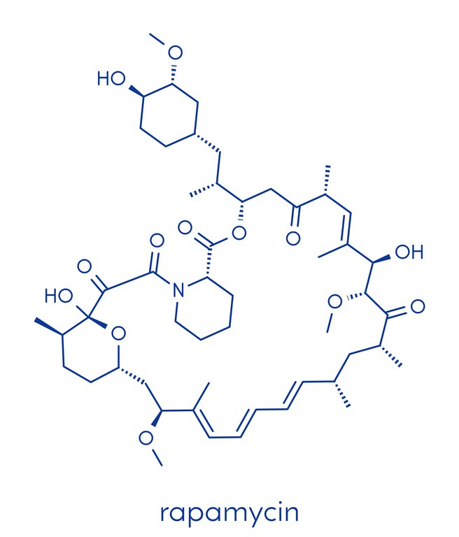 雷帕霉素（西罗莫司）免疫抑制药物分子。（Shutterstock）